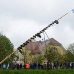 132 Maibaumaufstellen 2015