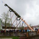 137 Maibaumaufstellen 2015