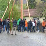 158 Maibaumaufstellen 2015